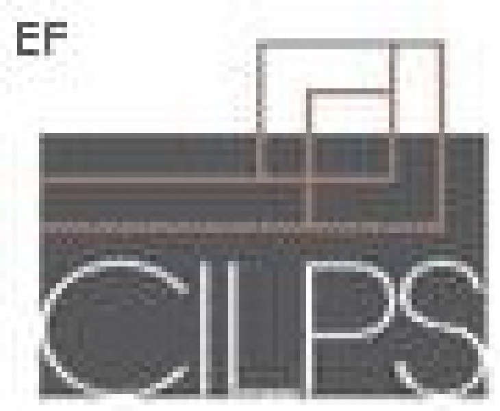 CILPS中國國際高端物業(yè)展