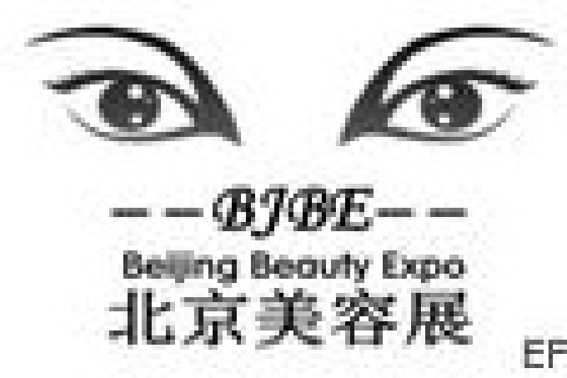 2008第13屆中國北京國際美容美發美體化妝品博覽會