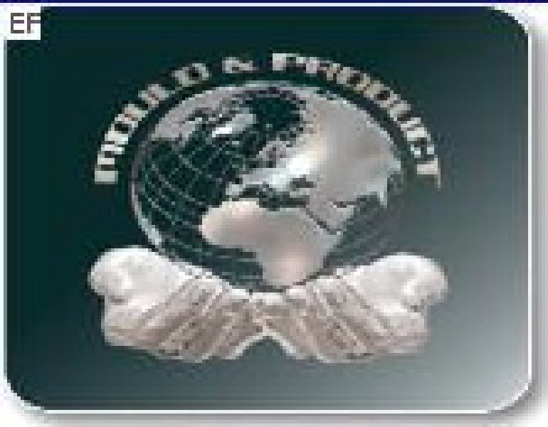 2009中國(深圳)國際模具及制品工業展覽會(S.Mould2009)