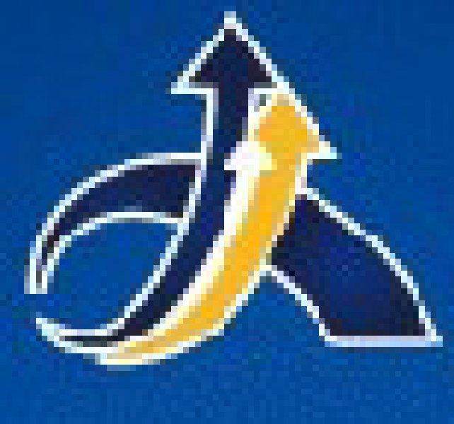 2010第九屆上海國際通信展覽會暨研討會