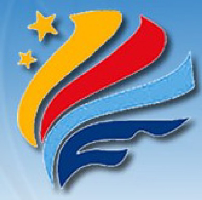 中國(guó)專(zhuān)利年會(huì)(2011·北京)