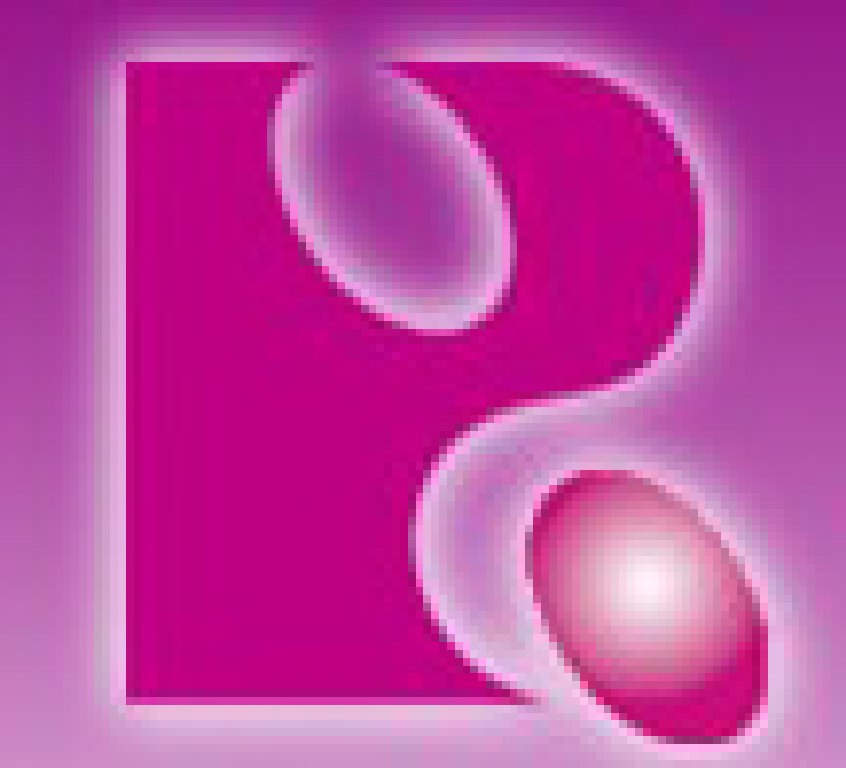 2011第十三屆中國青島國際塑料橡膠工業(yè)展覽會(huì)<br>2011第五屆國際塑料包裝及塑料彩印展覽會(huì)