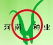 2013河南省夏季種子信息交流暨產(chǎn)品展覽會(huì)